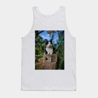 Robbi the cat Tank Top